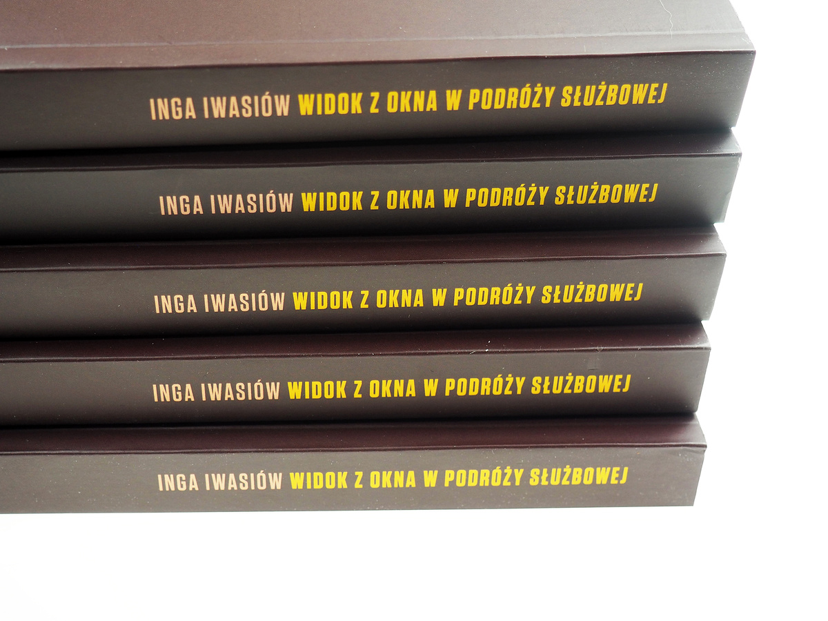 Widok z okna w podróży służbowej