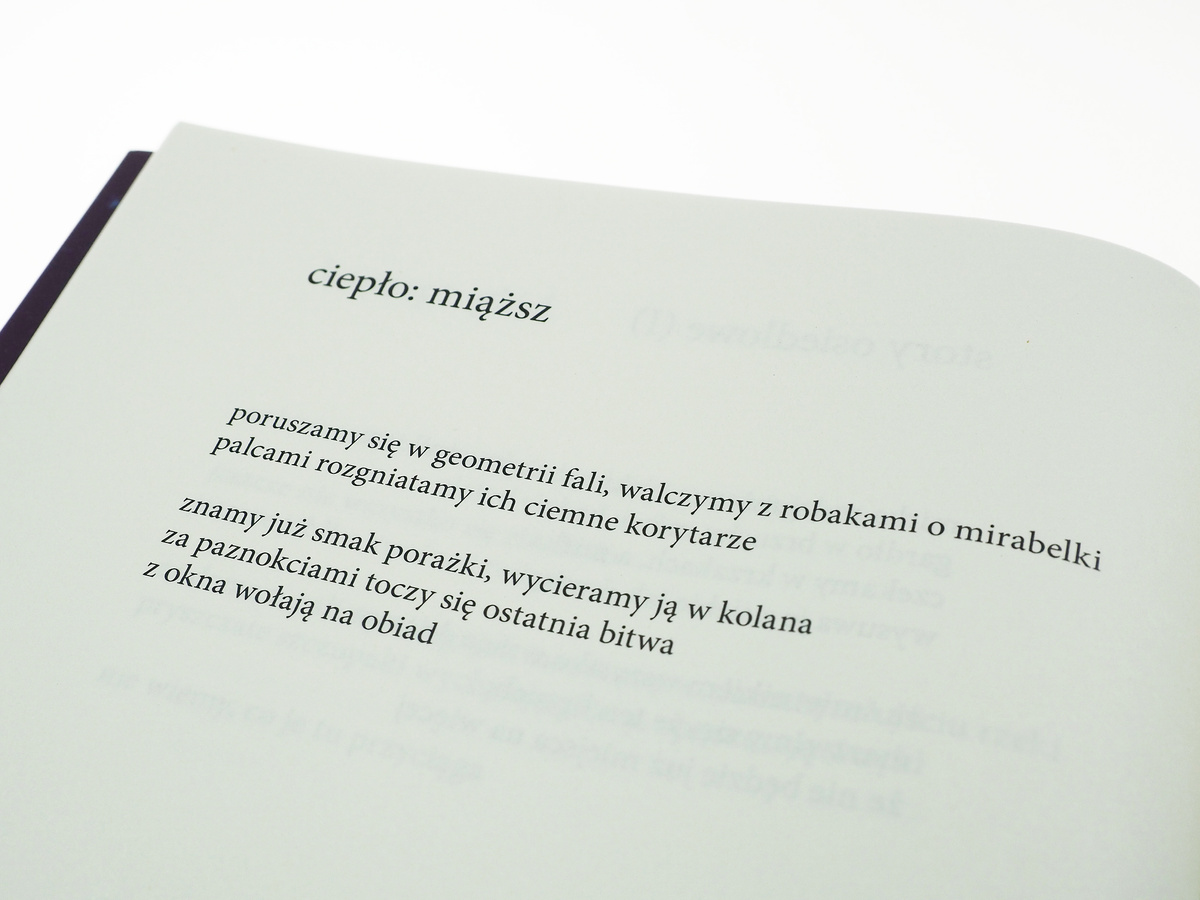 Jesteśmy pierwszą ciemnością tego lata