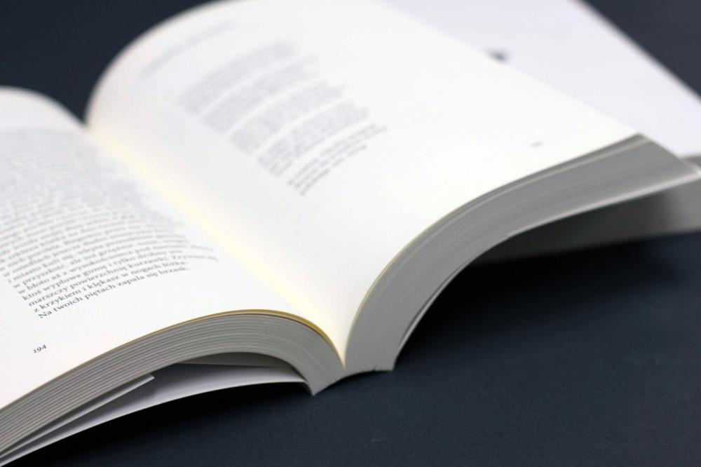 Pozytywki i marienbadki wyd.2