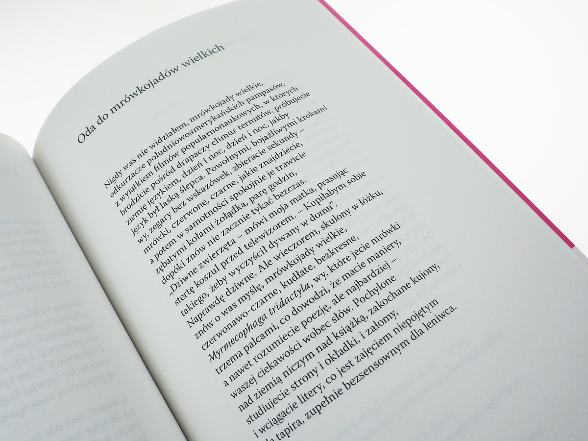 Zwierzęta apokryficzne