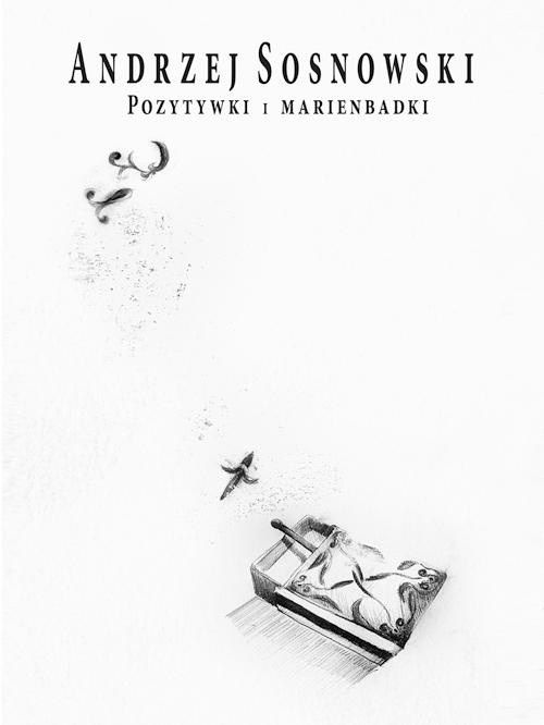 Pozytywki i marienbadki wyd.2