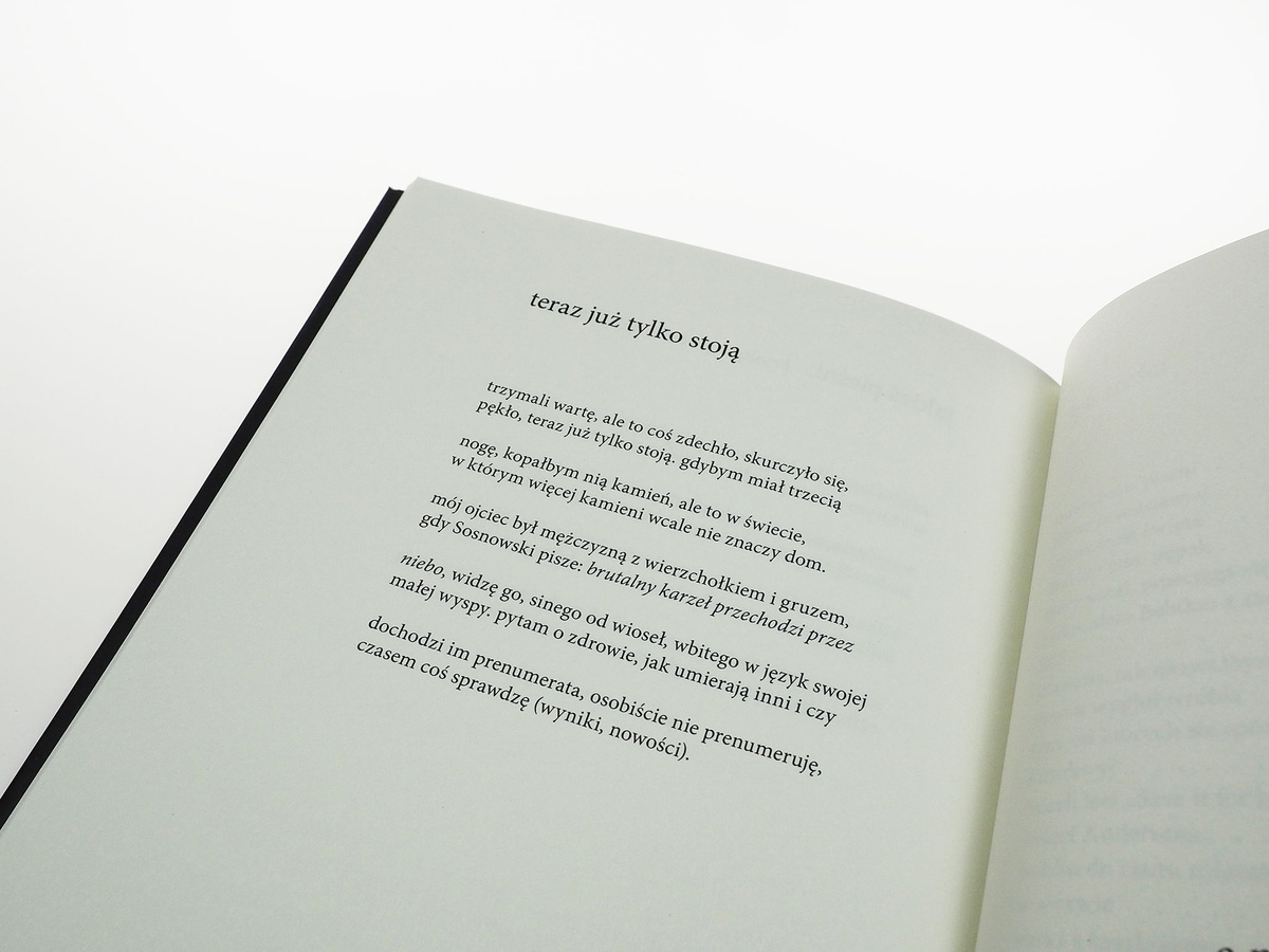 streszczenie pieśni