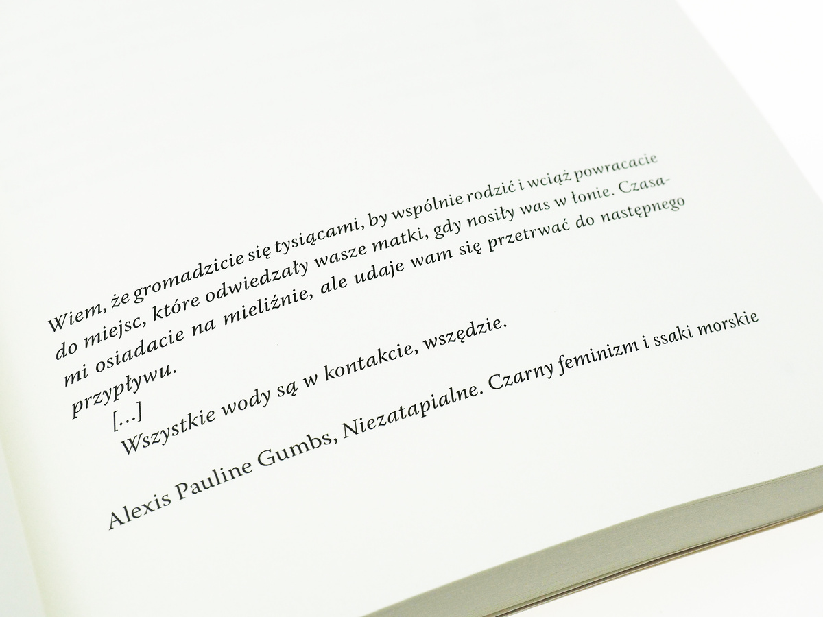 Złodziejka matek wyd.3