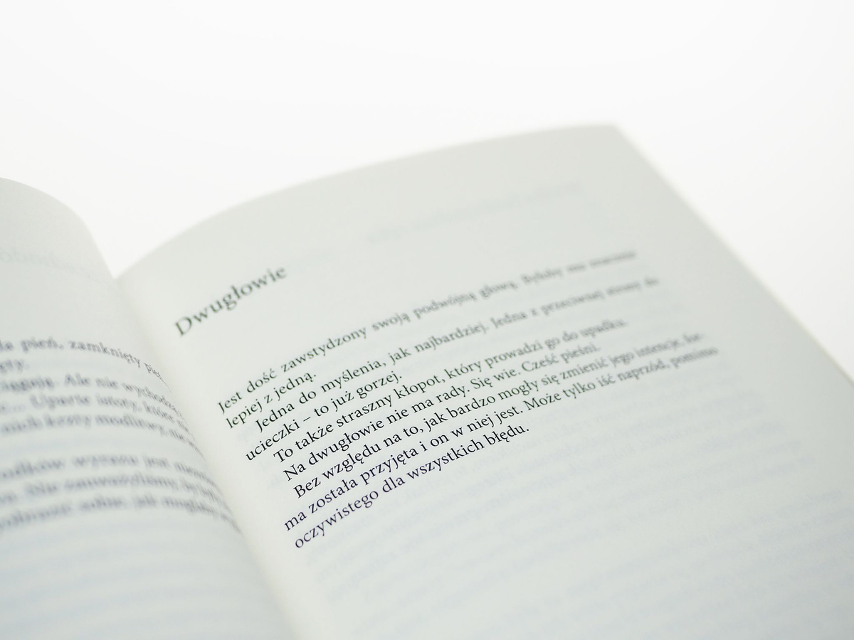 Meskalina i muzyka, wyd.2