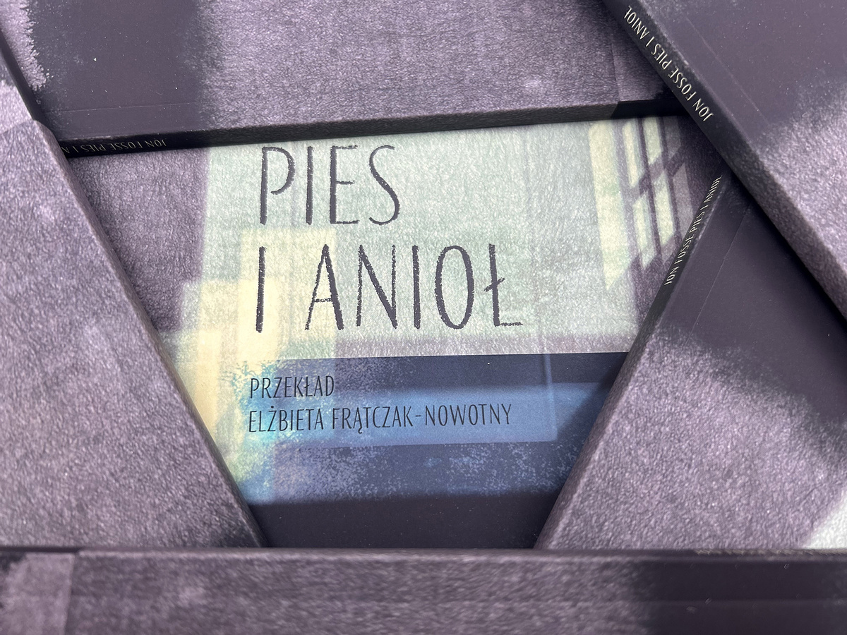 Pies i anioł 