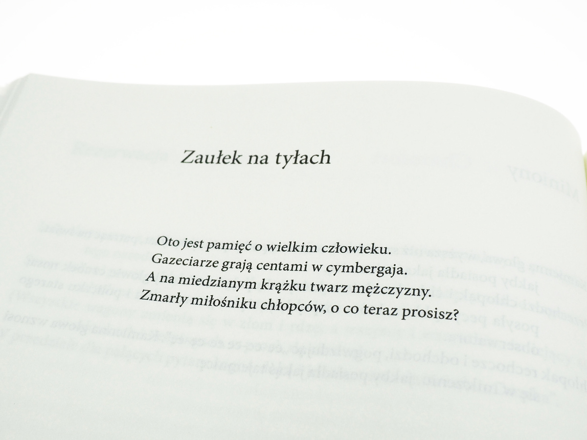 Wiersze chicagowskie