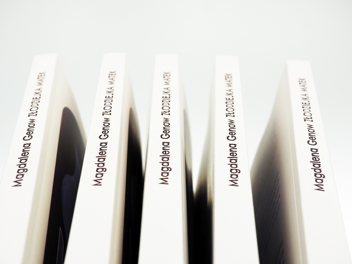 Złodziejka matek wyd.2