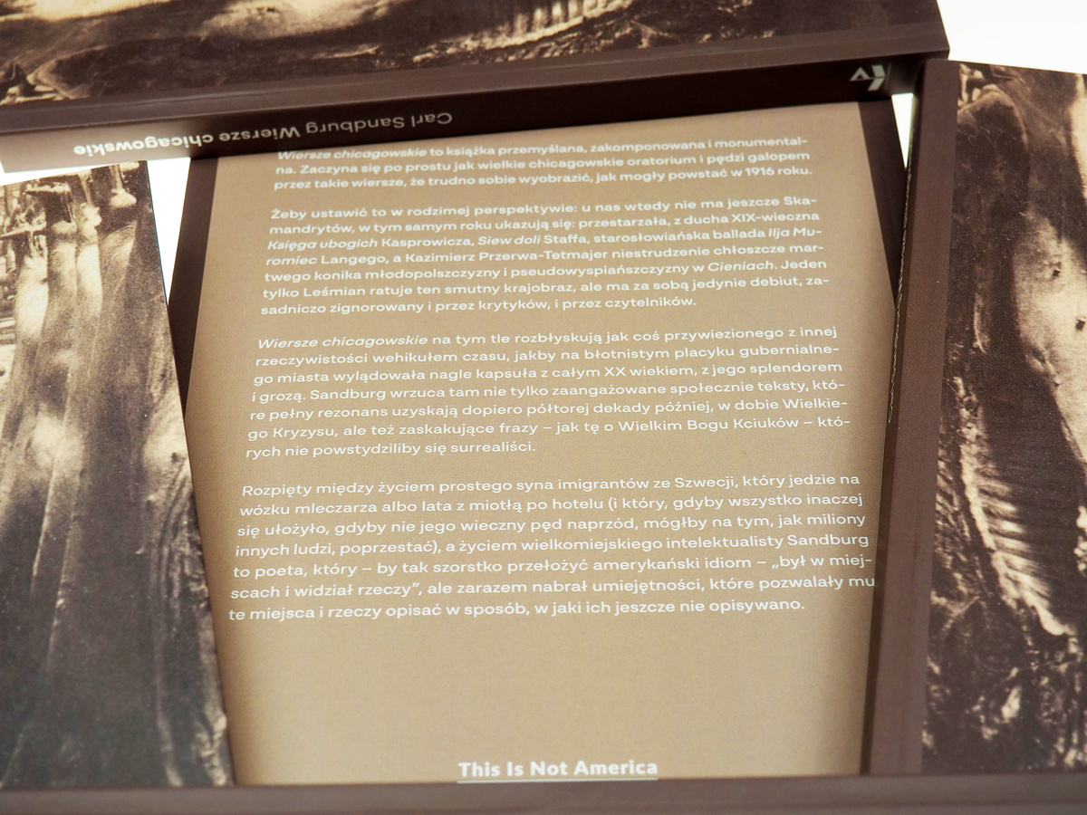 Wiersze chicagowskie