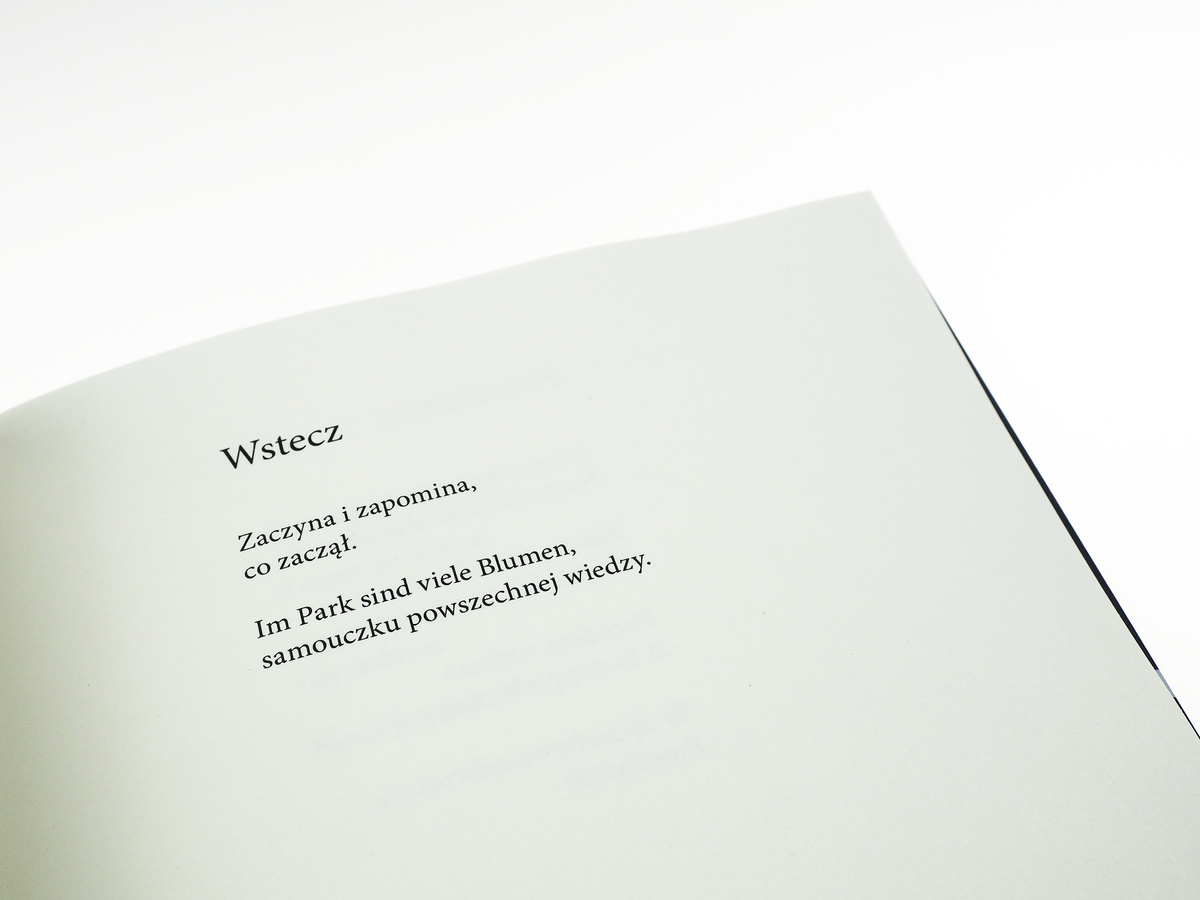 Węgierskie morze / edycja limitowana