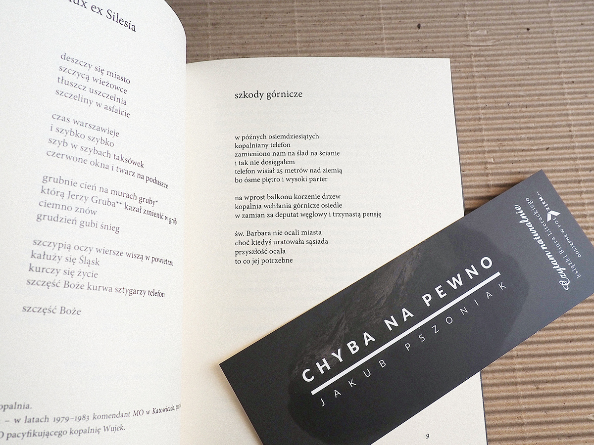 Chyba na pewno, wyd. 2 (poprawione)