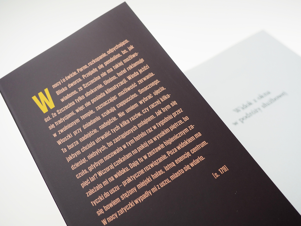 Widok z okna w podróży służbowej