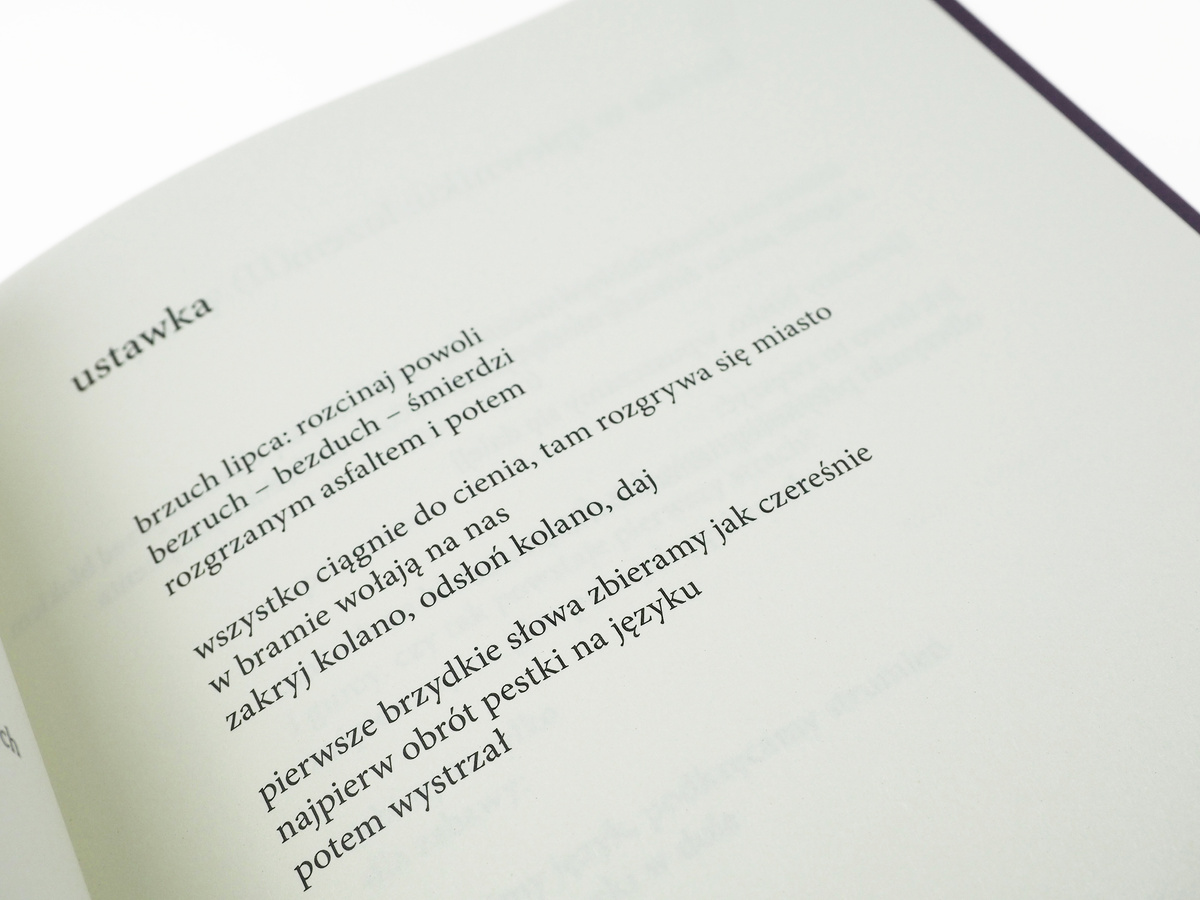 Jesteśmy pierwszą ciemnością tego lata