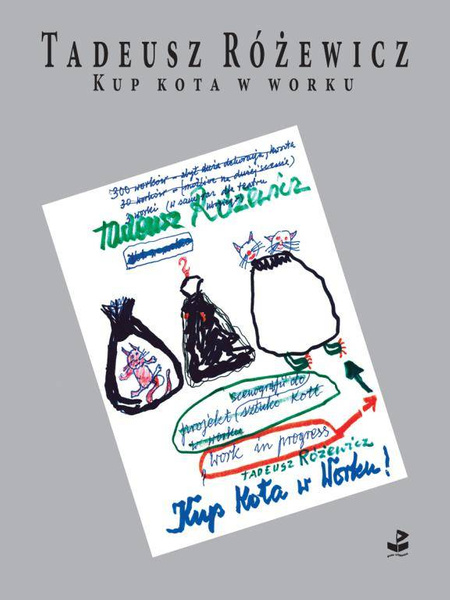 Kup kota w worku