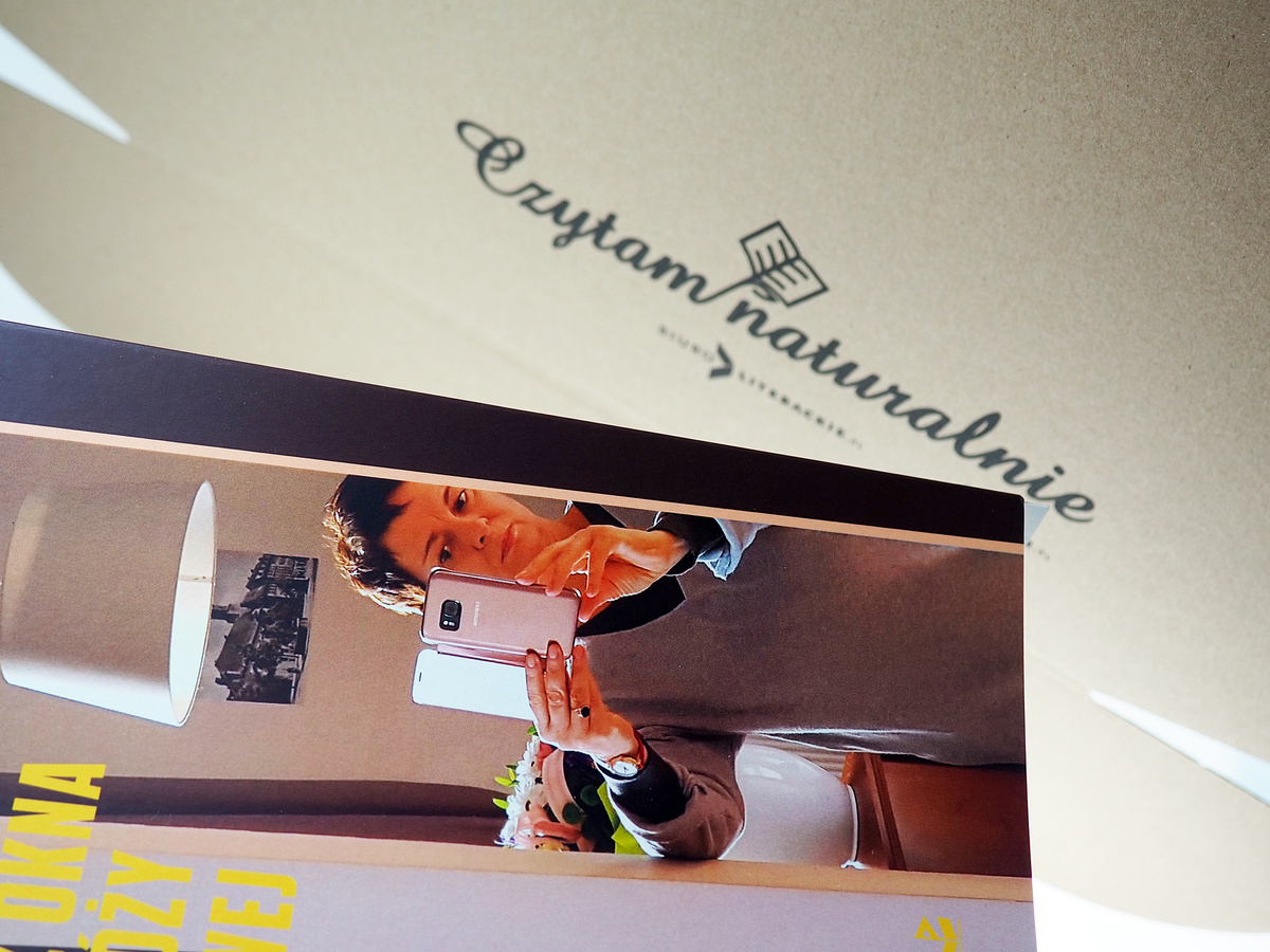 Widok z okna w podróży służbowej