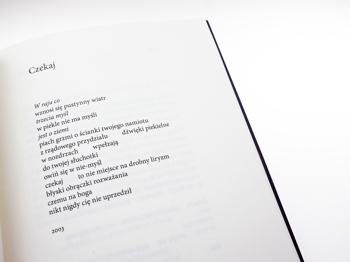 Fenomenologia gniewu. 21 wierszy politycznych