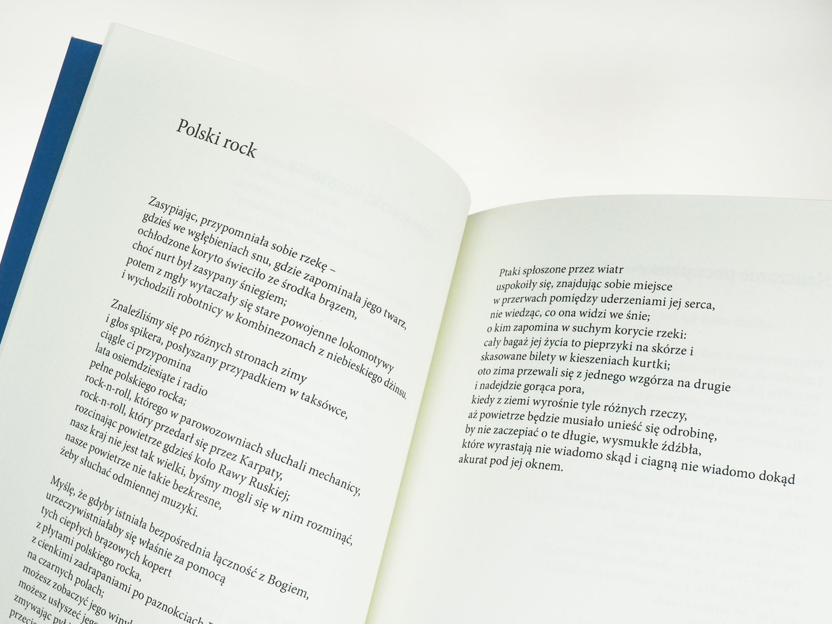 Historia kultury początku stulecia i inne wiersze