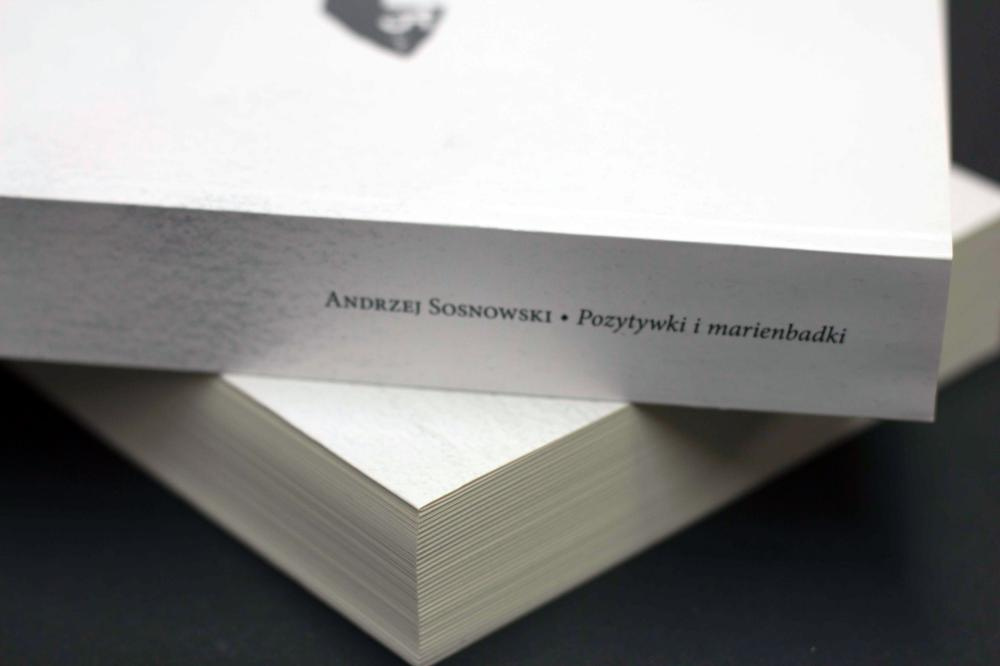 Pozytywki i marienbadki wyd.2