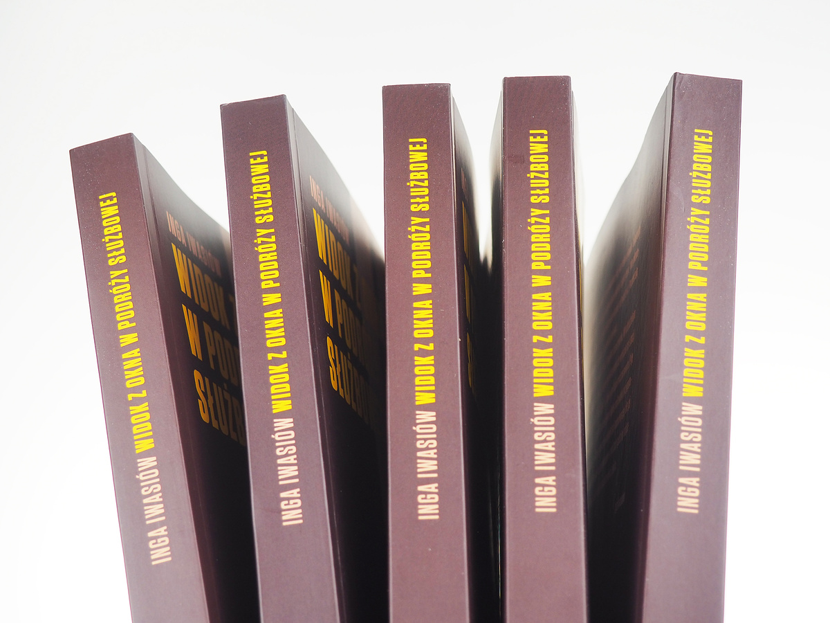 Widok z okna w podróży służbowej