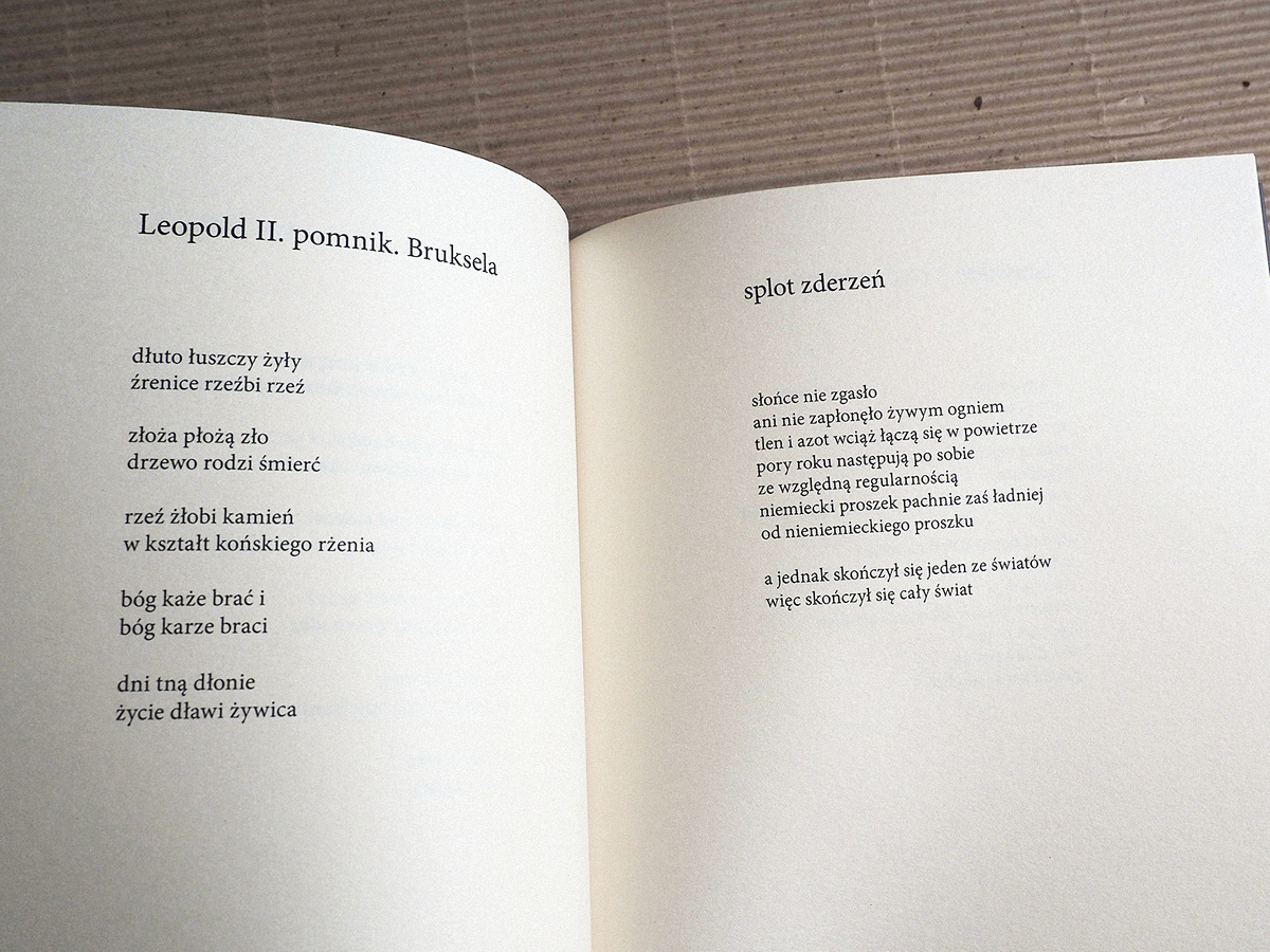 Chyba na pewno, wyd. 2 (poprawione)