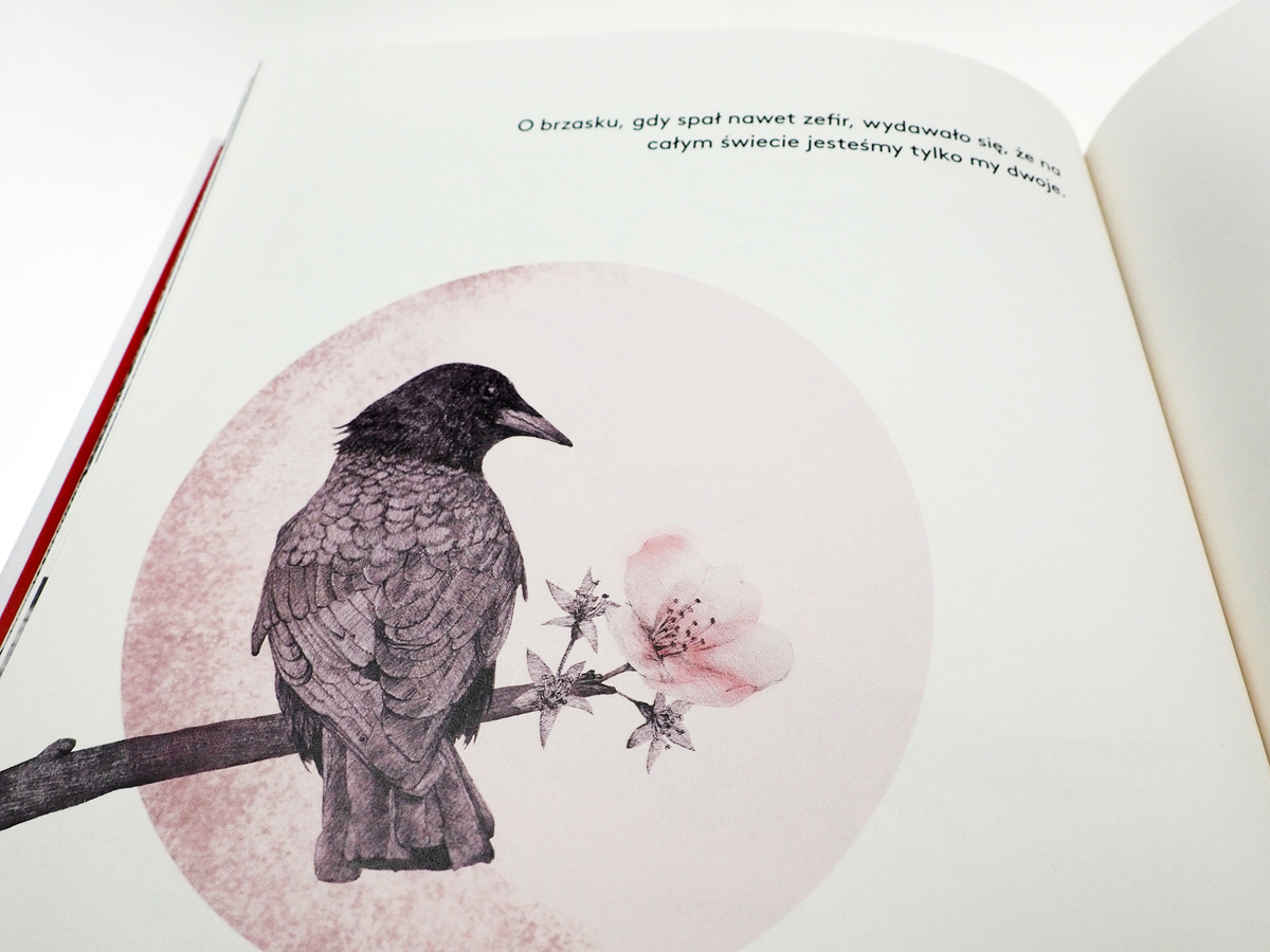 Wrona i kwiat wiśni