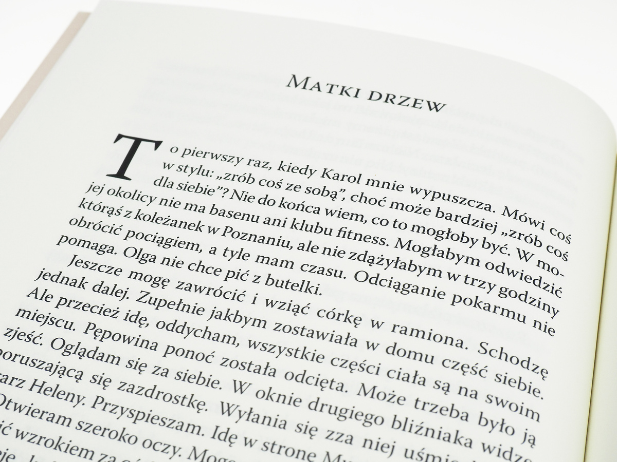 Złodziejka matek wyd.3