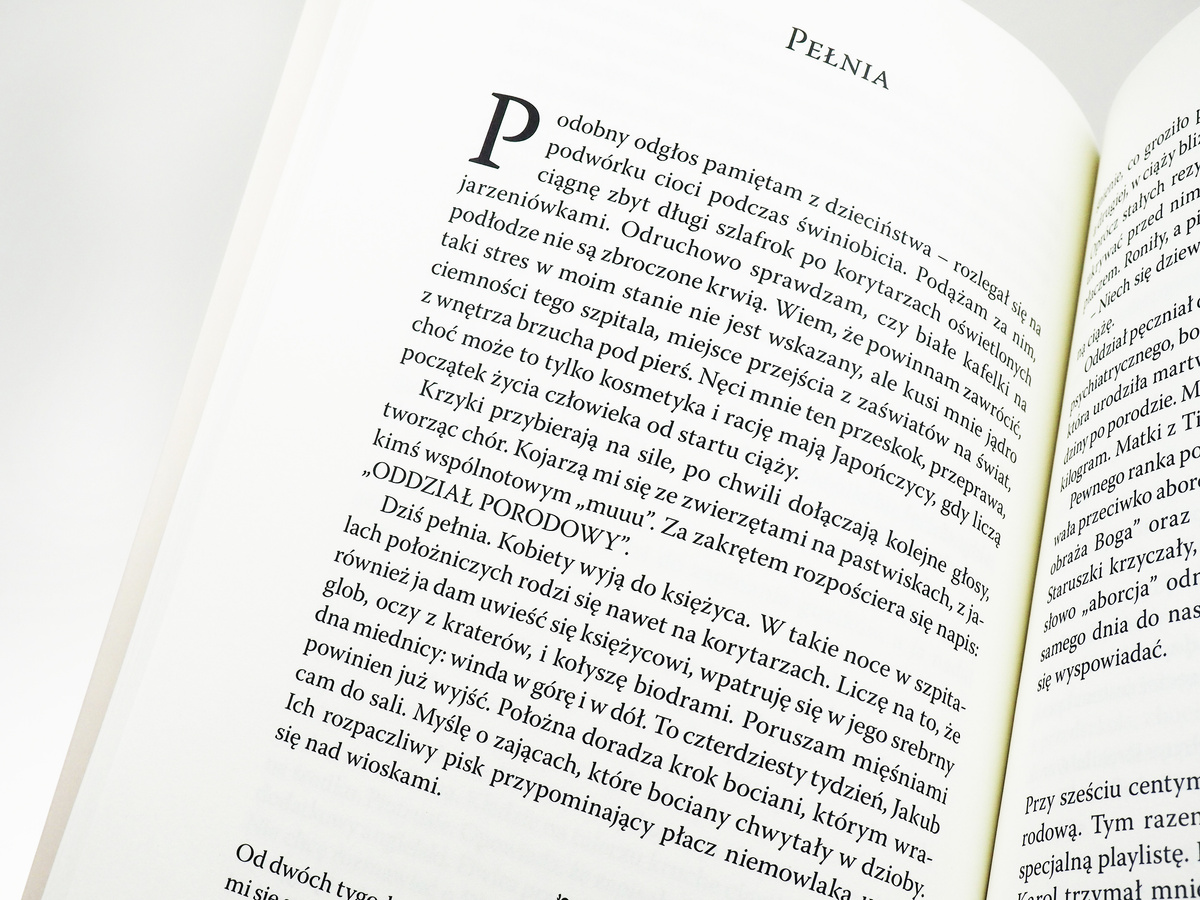 Złodziejka matek wyd.2