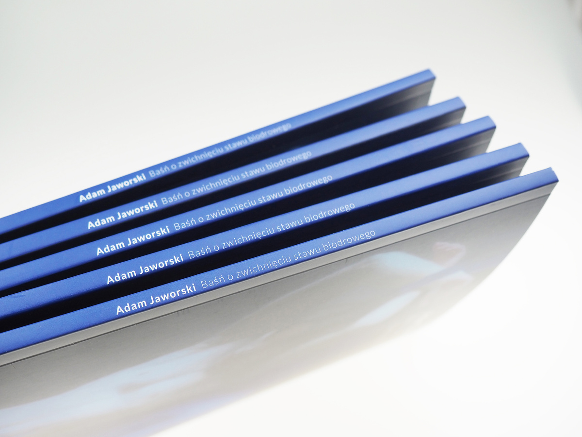 Baśń o zwichnięciu stawu biodrowego