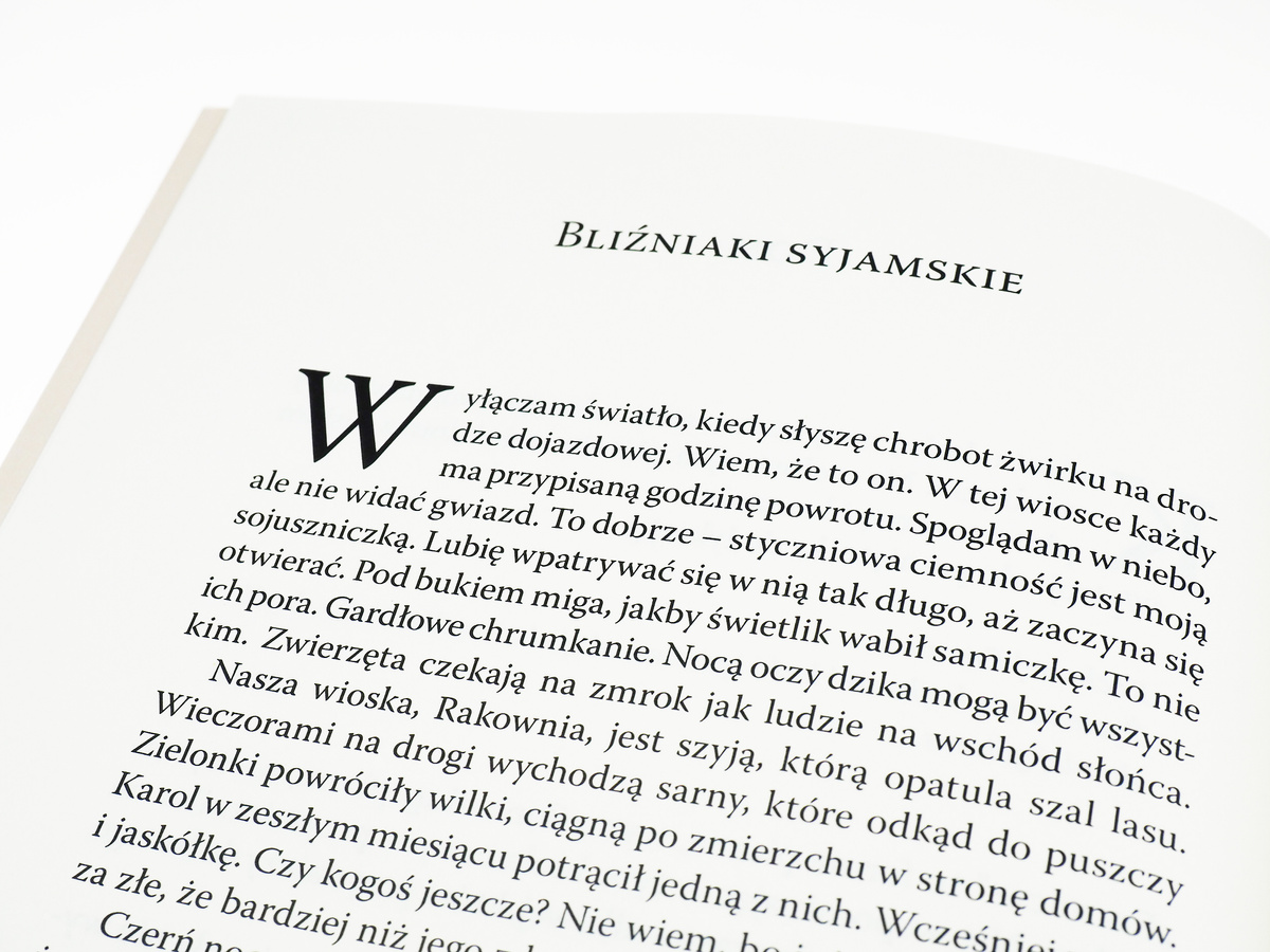 Złodziejka matek wyd.3