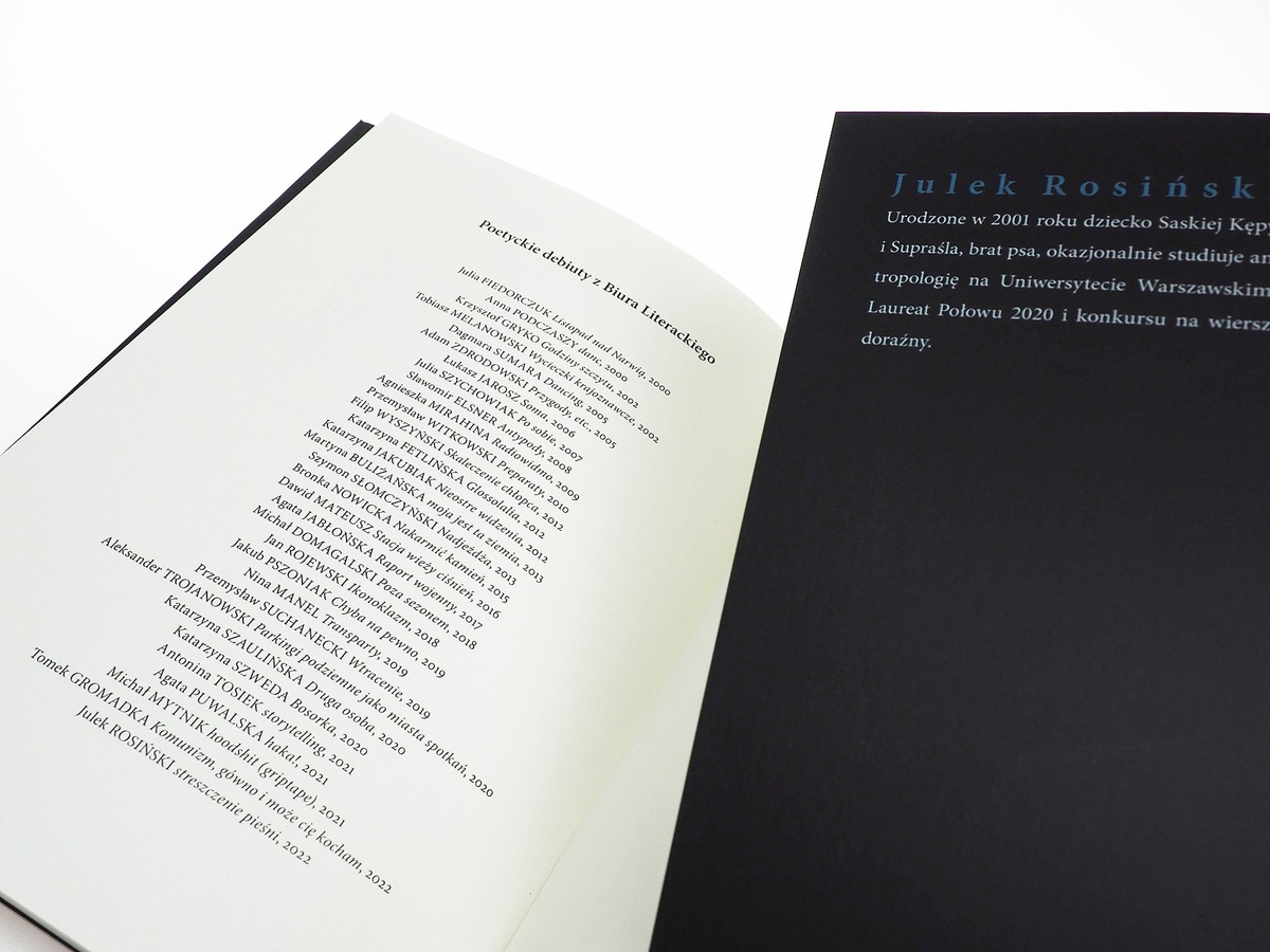 streszczenie pieśni