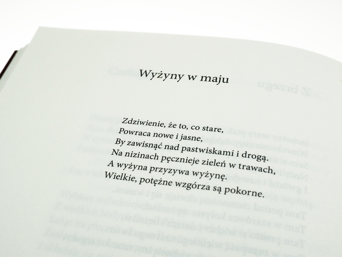 Wiersze chicagowskie