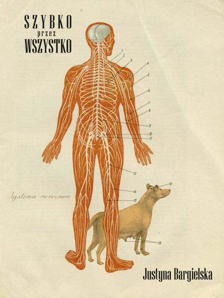Szybko przez wszystko