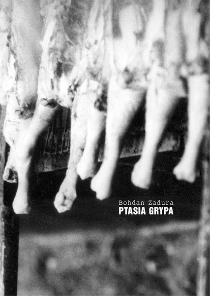 Ptasia grypa